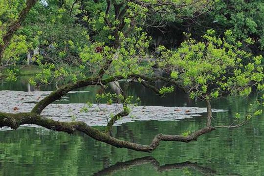 AI赋能污水治理！万亿赛道鸿泰华瑞诚招代理，Fyhone和您携手共赢黄金风口